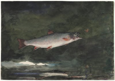 Ugráló pisztráng, 1889. alkotó: Winslow Homer