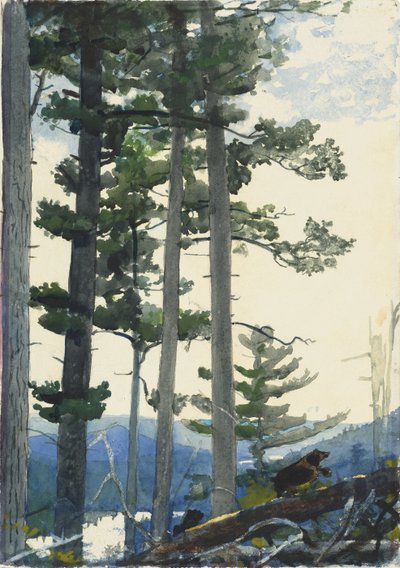 Régi telepesek alkotó: Winslow Homer