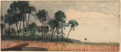 Pálmafák, piros alkotó: Winslow Homer