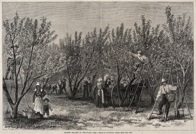  alkotó: Winslow Homer