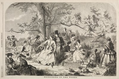 Piknik az erdőben alkotó: Winslow Homer