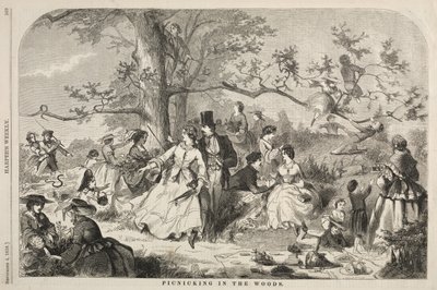 Piknik az erdőben, 1858. alkotó: Winslow Homer