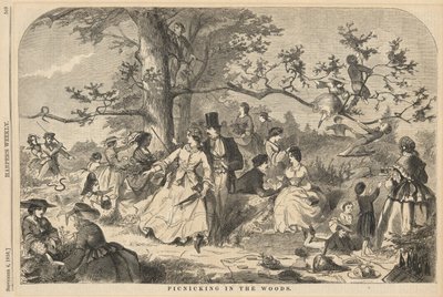 Picknicking in the Woods, Harpertől alkotó: Winslow Homer