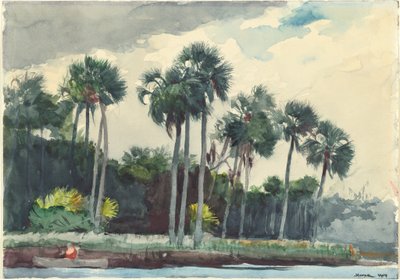 Red Shirt, Homosassa, Florida alkotó: Winslow Homer