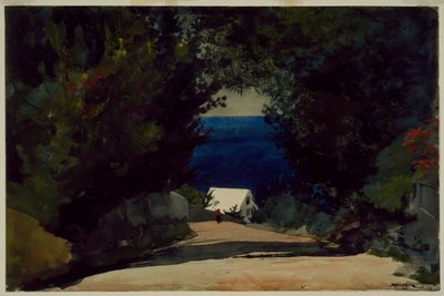 Bermudai út, 1899-1901 körül (akvarell, papír) alkotó: Winslow Homer