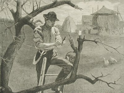  alkotó: Winslow Homer