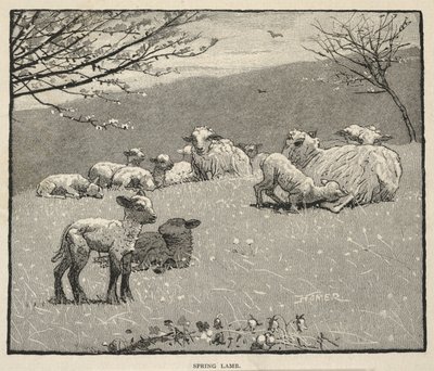  alkotó: Winslow Homer