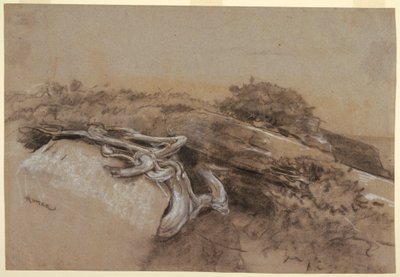 Fagyökerek tanulmányozása, Prout nyakán, Maine alkotó: Winslow Homer