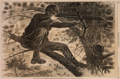 The Army of the Potomac--A Sharpshooter on Picket Duty, a Harper