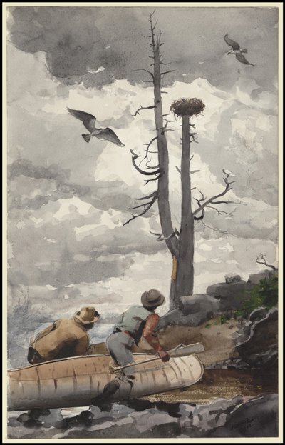 A sasfészek, 1902 alkotó: Winslow Homer