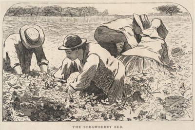 Az eperágy, az Ifjúságunkból, 1868. július alkotó: Winslow Homer