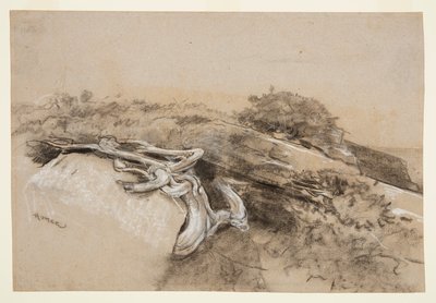 Fa gyökerei, Prout nyaka alkotó: Winslow Homer