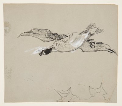 Vadlúd a repülésben alkotó: Winslow Homer