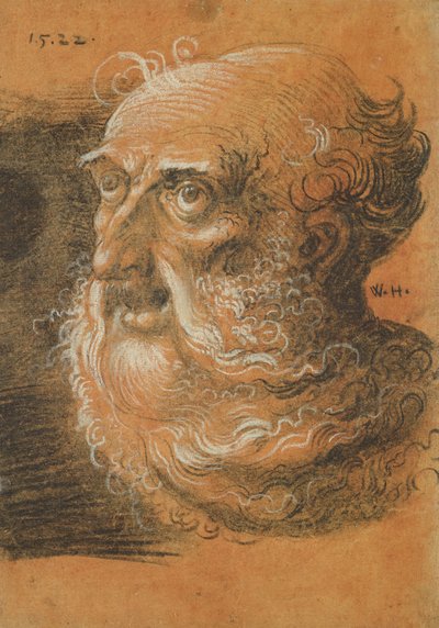 Head Study, 1522 (szén és fehér kréta papíron) alkotó: Wolf Huber