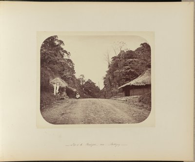 A Poentjak teteje Buitenzorg közelében alkotó: Woodbury and Page