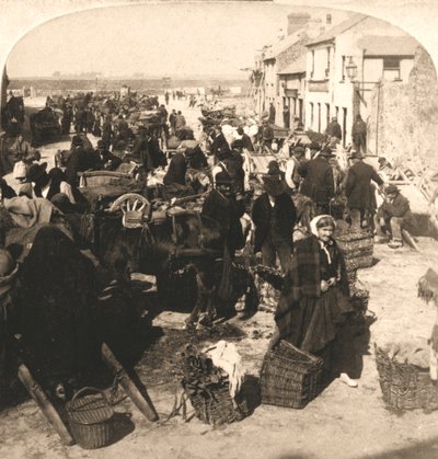 Eladó az Irishman