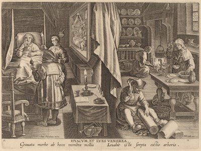 Guaiacum és nemi fertőzés alkotó: Workshop of Philip Galle after Jan van der Straet