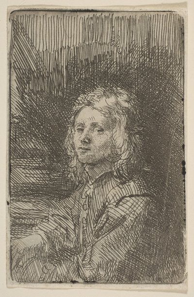 Fiatal férfi, félalakos, 1620-69. alkotó: Workshop of Rembrandt