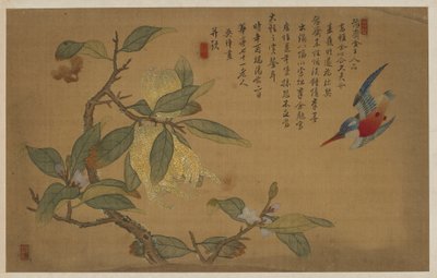 Madár, gyümölcs és virág, Qing-dinasztia, 1741. alkotó: Wu Zhang