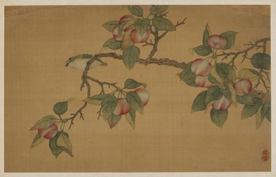 Madár és Gyümölcs alkotó: Wu Zhang