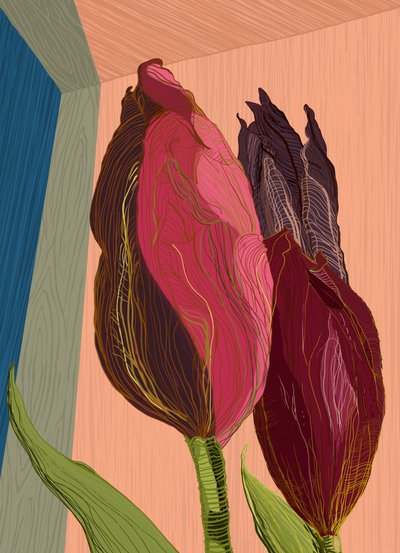 Élénk színű, modern tulipánok alkotó: XHOZUCAN