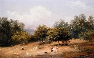 Búzakaszálás, Nice