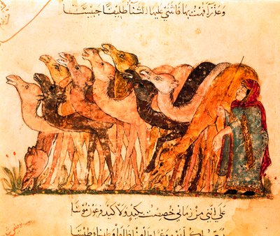Egy csoport teve és a tevepásztor, a "Maqamat"-ból alkotó: Yahya ibn Mahmud Al-Wasiti