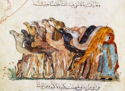 Ms Ar 5847 f.101, Tevecsorda, Al Hariri „Al Maqamat” (The Meetings) című művéből, 1240 körül (lásd még: 1689970) alkotó: Yahya ibn Mahmud Al-Wasiti