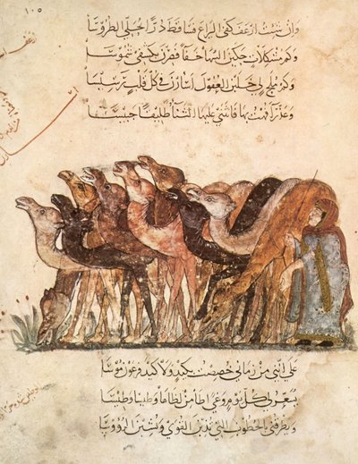 Ms Ar 5847 f.101, tevecsorda, Al Maqamat (The Meetings), Al Hariri, 1240 körül (lásd még: 1258010) alkotó: Yahya ibn Mahmud Al-Wasiti