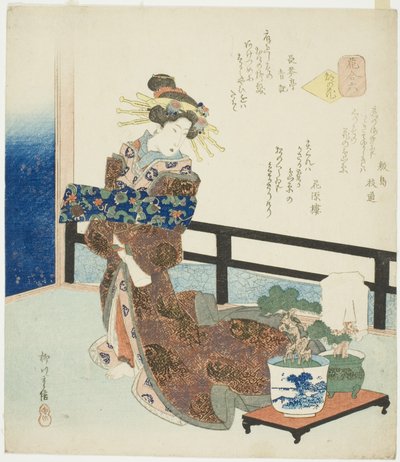6. szám: A főváros virága (Miyako no hana), a "Virágok összehasonlítása (Hana awase)" sorozatból alkotó: Yanagawa Shigenobu II