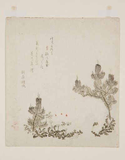 (színes fatömb nyomat) alkotó: Yashima Gakutei