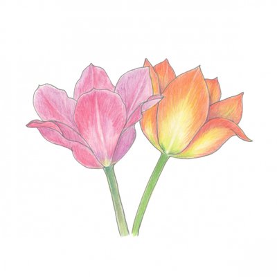  alkotó: Yvonne Gustafsson