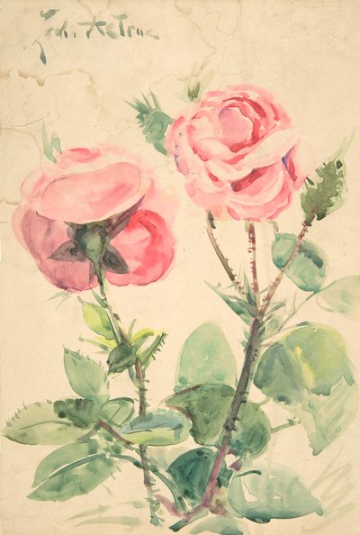 Két rózsa, kb. 1884-1904. alkotó: Zacharie Astruc