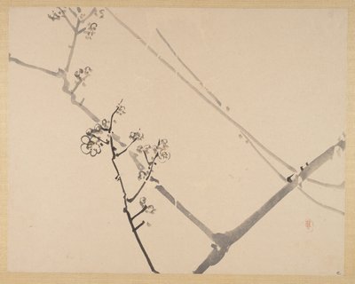 Festés alkotó: Zeshin Shibata