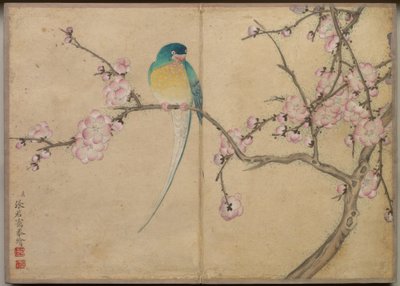 Desk Album: Virág és madár festmények (Madár szilvavirágokkal) alkotó: Zhang Ruoai