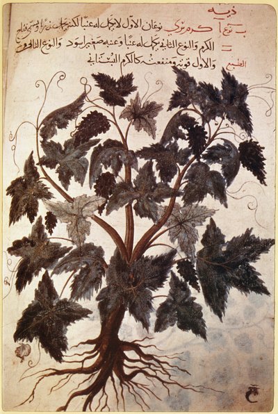 Herbals Vine alkotó: Ferdinand Georg Waldmuller