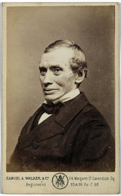 Thomas Graham, skót kémikus, 1870 alkotó: Frederick (attr. to) Barnard