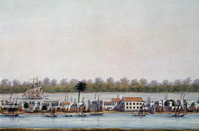 Kilátás St Louisra, Szenegálra alkotó: William Walcutt