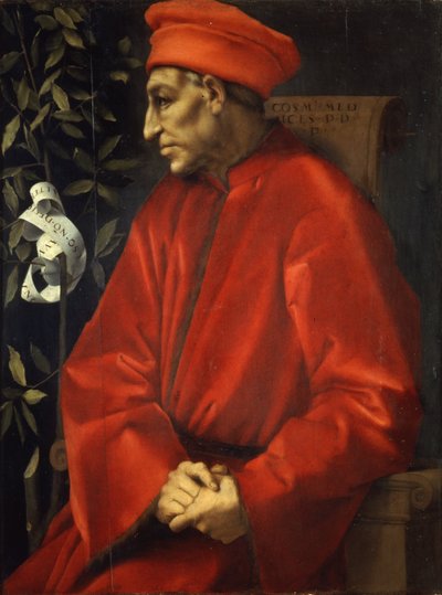 Idősebb Cosimo portréja alkotó: Pontormo