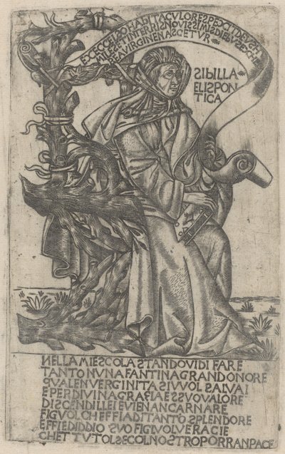 Hellészponti Szibilla alkotó: after Baccio Baldini