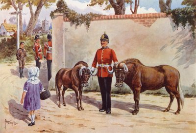 Gnúk (vagy fehérfarkú gnu), a dél-walesi határőrök háziállatai alkotó: after Edgar Alfred Holloway