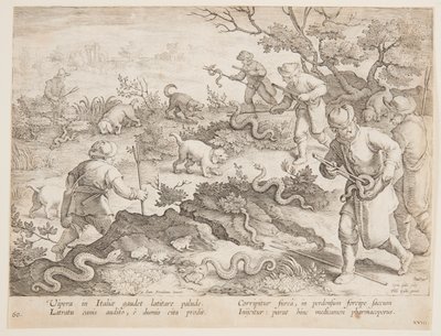 Kígyók vadászata alkotó: after Jan van der Straet, called Stradanus