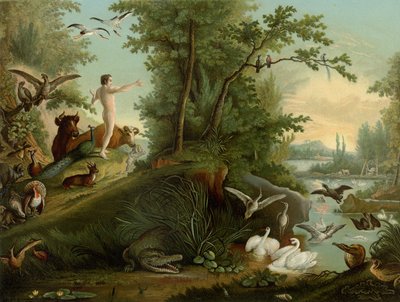 Ádám a paradicsomban alkotó: Johann Elias Ridinger or Riedinger