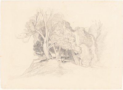 Táj a fákkal alkotó: after John Sell Cotman British 19th Century