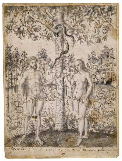 Az ember bukása alkotó: after Lucas Cranach the Younger