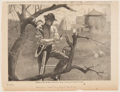 Tavaszi mezőgazdasági munka – oltás alkotó: Winslow Homer