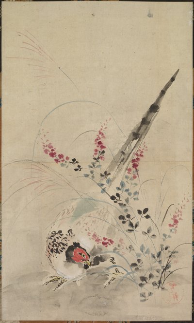 Fácán és füvek alkotó: attributed to Ogata Kōrin