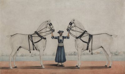 Egy Syce vőlegény, aki két kocsis lovat tart, kb. 1845. alkotó: attributed to Shaikh Muhammad Amir of
