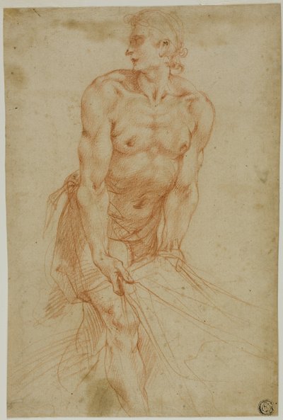 Férfi húzza a lepedőt: Certosa di San Martino sekrestye, Nápoly, 1596] alkotó: called Cavaliere d