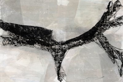 Dinamikus absztrakt forma alkotó: cartissi